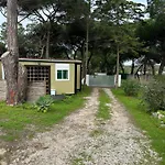 Eco-friendly House Glamping