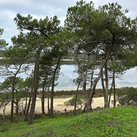 Eco-friendly House *