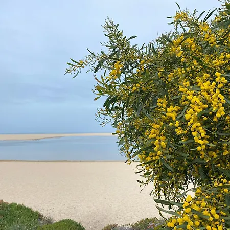 Eco-friendly House * Sesimbra