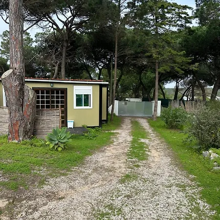 Eco-friendly House 豪华帐篷
