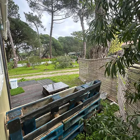 Eco-friendly House 豪华帐篷