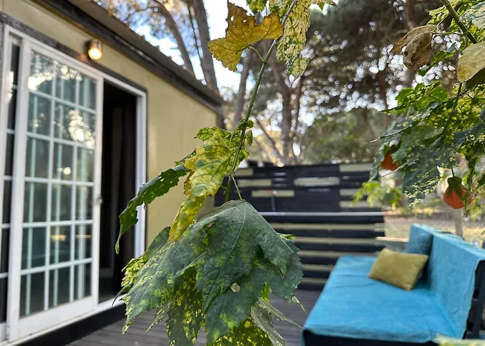 Eco-friendly House Campo de lujo Sesimbra