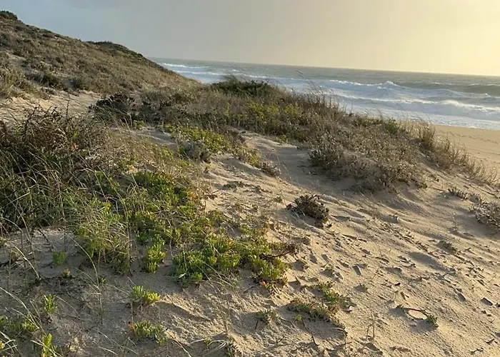 Eco-friendly House Campo de lujo *