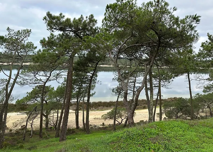 Eco-friendly House *