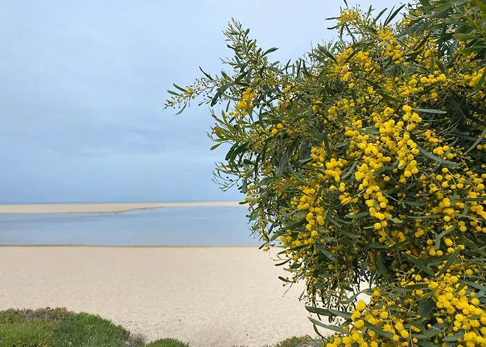 Eco-friendly House * Sesimbra