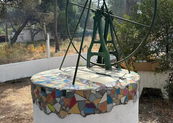 Campo de lujo Eco-friendly House