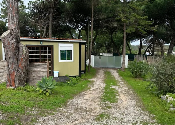 Eco-friendly House Campo de lujo