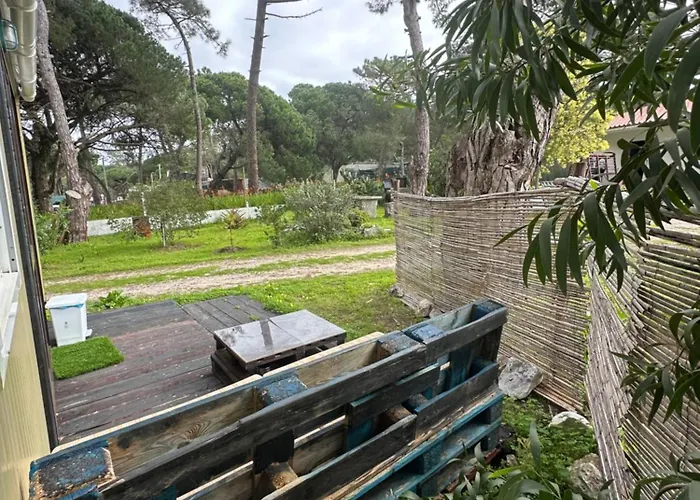 Eco-friendly House Campo de lujo