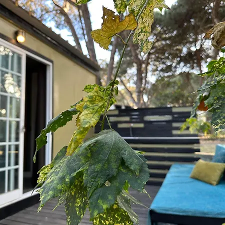 Eco-friendly House Tente de luxe Sesimbra