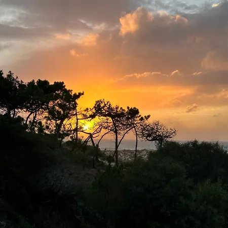 Eco-friendly House Sesimbra