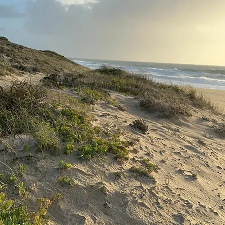 Eco-friendly House Campismo de Luxo *