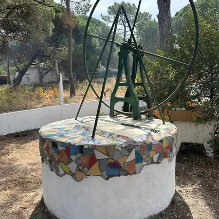 Campismo de Luxo Eco-friendly House