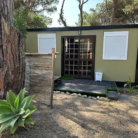 Eco-friendly House Σεσίμπρα