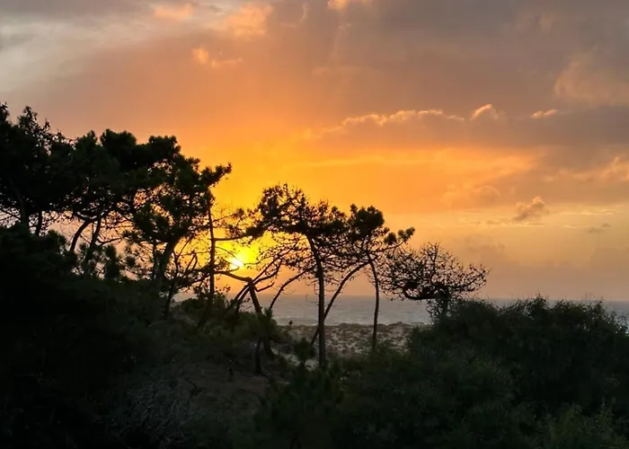 Eco-friendly House Sesimbra