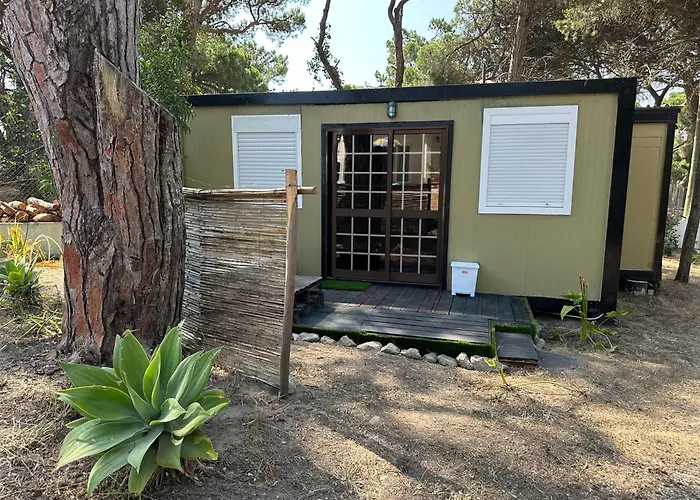 Eco-friendly House Sesimbra