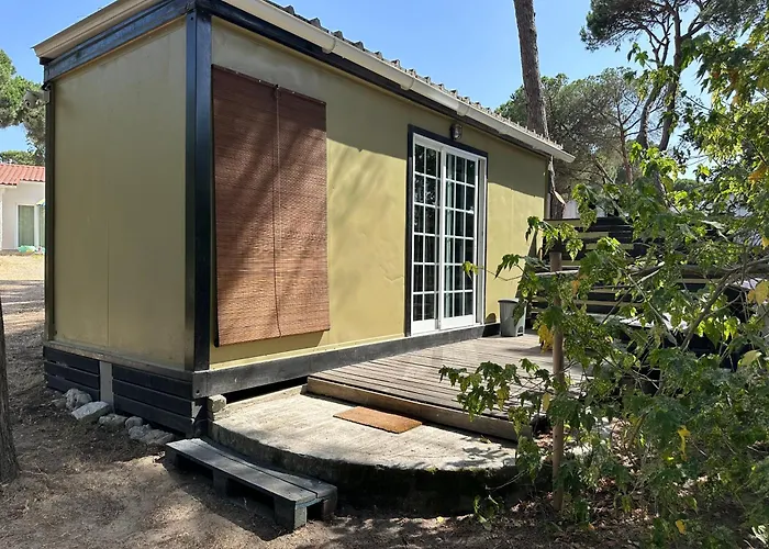 Роскошный шатер Eco-friendly House